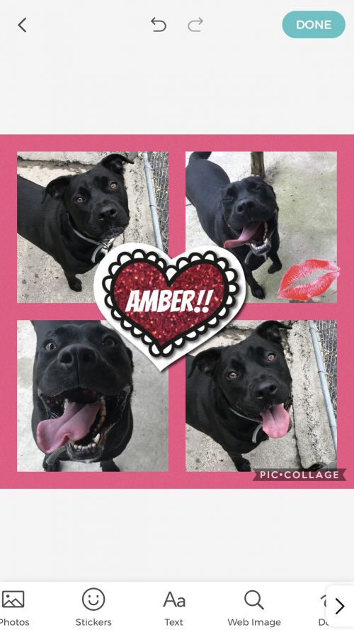 . Amber .