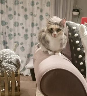 . Mimi .