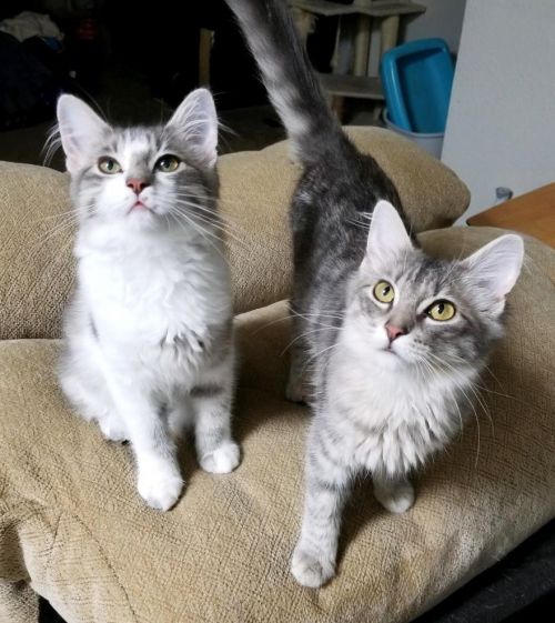 . Heidi and Luna .