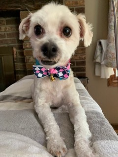 . Miss Ellie .