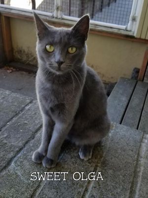 . OLGA .