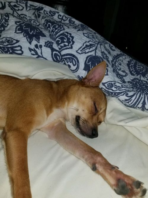 . Paco .