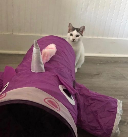 Photo of Samantha