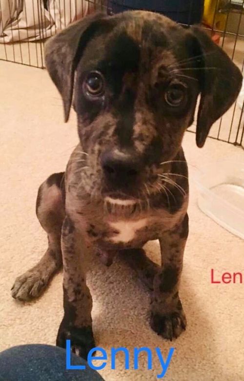 . LENNY .