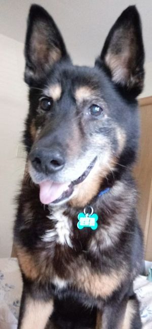 . Max .