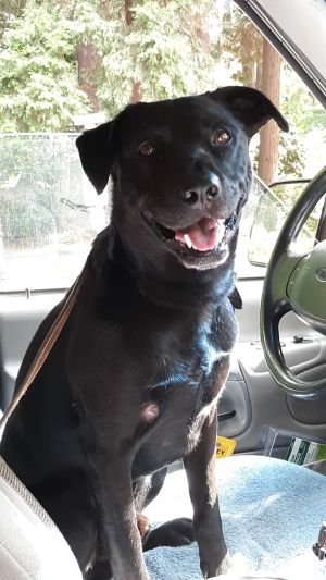 . Max .