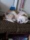 . Odie .