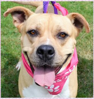 . Zoey - New Pics and Update!! .