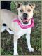 . Zoey - New Pics and Update!! .