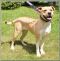 . Zoey - New Pics and Update!! .