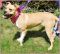 . Zoey - New Pics and Update!! .