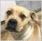 . Zoey - New Pics and Update!! .