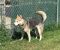 . Cheyenne .