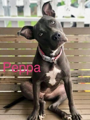 . PEPPA .