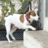 . Lily Lou ~ ADORABLE! .