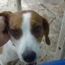 . Lily Lou ~ ADORABLE! .