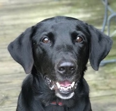 . Ellie .