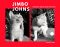 . Jimbo Johns .