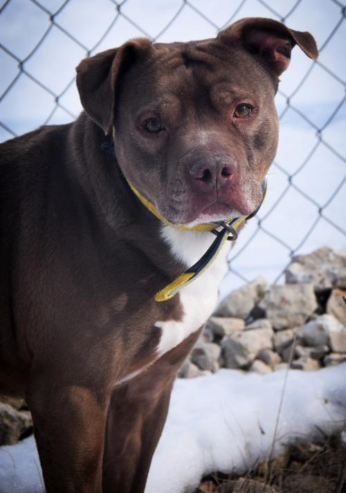 . Hooch .