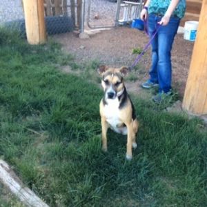 . ***COURTESY LISTING*** BAILEY .