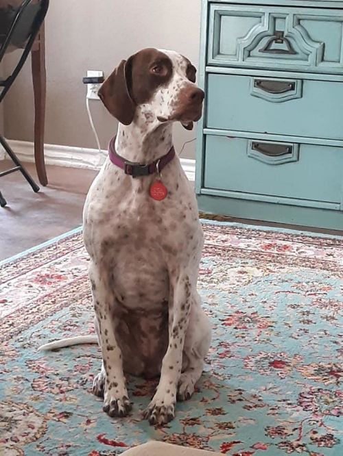 . Dottie .