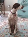 . Dottie .