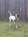 . Dottie .