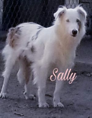 . Sally .