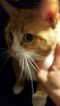 . Mitty .