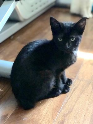 . Sabrina .