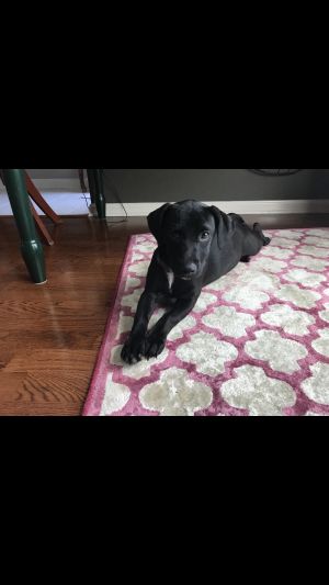. Sophie .
