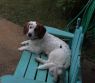 . Waylon .