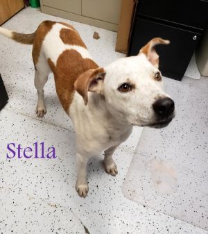 . Stella (Betty) .