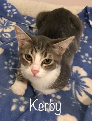 . Kerby .