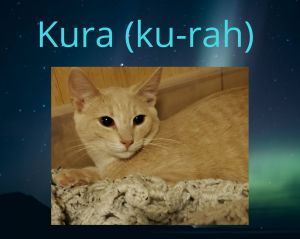 . Kura .