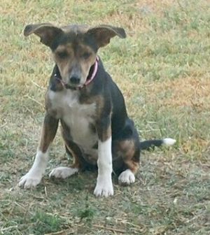 . Lola .