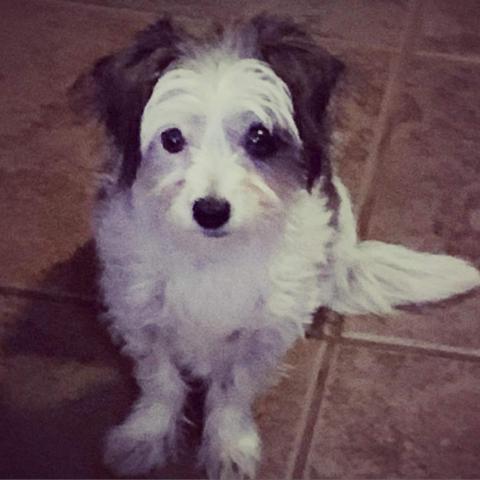 . Katie .