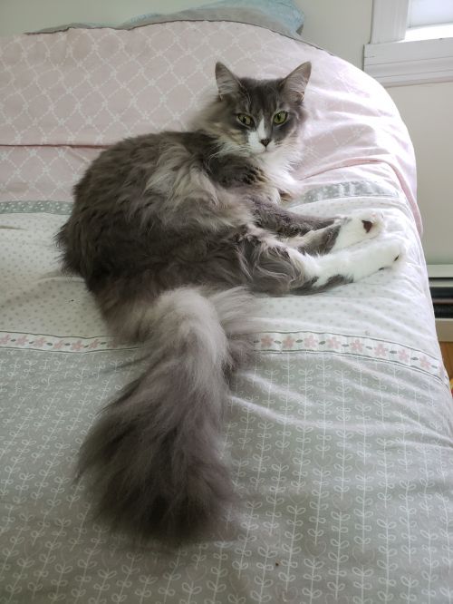 Photo of George