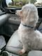 . Baxter .