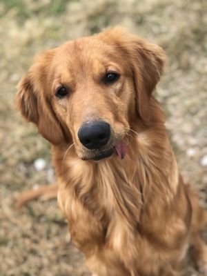 . Ella .