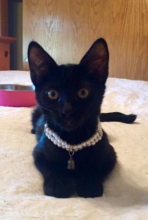 . Kiki .