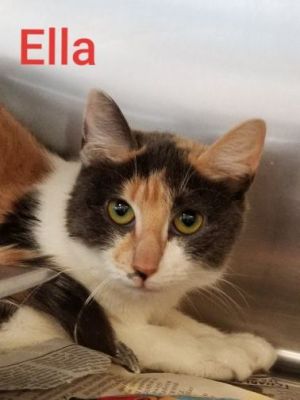 . Ella .