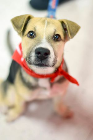 Photo of Brantley