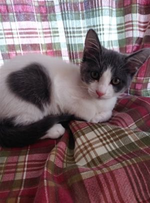 . Luna .