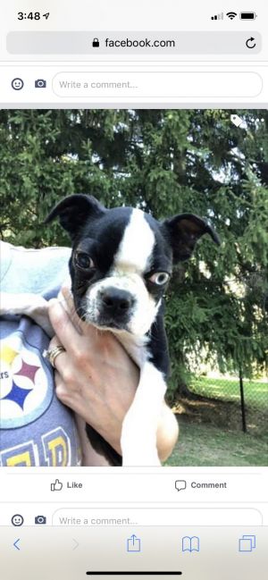 . Minka - ADOPTED 10-19-19 .