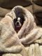 . Minka - ADOPTED 10-19-19 .