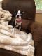 . Minka - ADOPTED 10-19-19 .