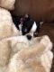 . Minka - ADOPTED 10-19-19 .