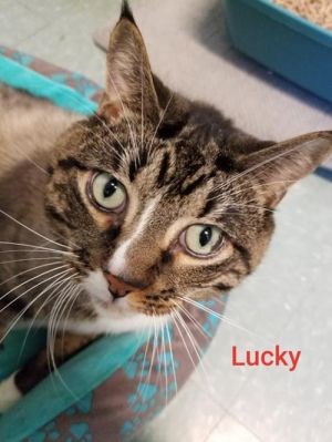 . Lucky .