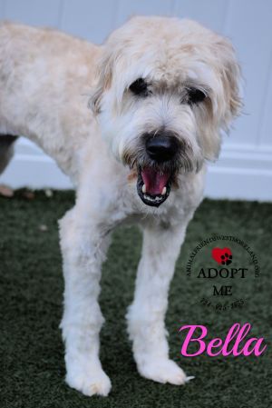 . Bella .